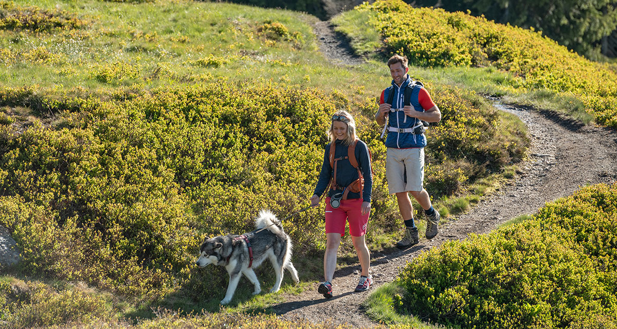 Urlaub mit Hund in Radstadt, Salzburger Land